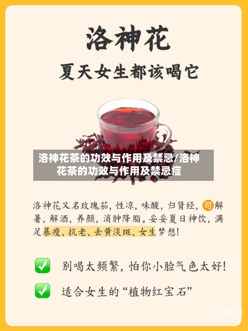 洛神花茶的功效与作用及禁忌/洛神花茶的功效与作用及禁忌症