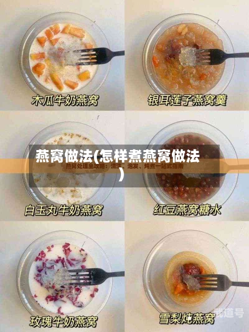 燕窝做法(怎样煮燕窝做法)
