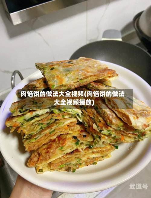 肉馅饼的做法大全视频(肉馅饼的做法大全视频播放)