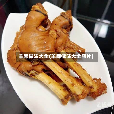 羊蹄做法大全(羊蹄做法大全图片)