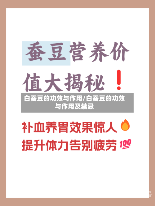 白蚕豆的功效与作用/白蚕豆的功效与作用及禁忌