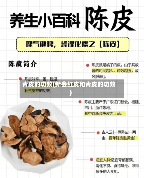 青皮的功效(新会红皮和青皮的功效)