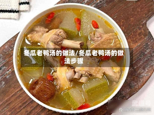 冬瓜老鸭汤的做法/冬瓜老鸭汤的做法步骤