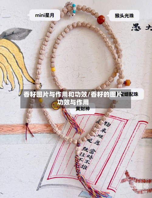 香籽图片与作用和功效/香籽的图片功效与作用