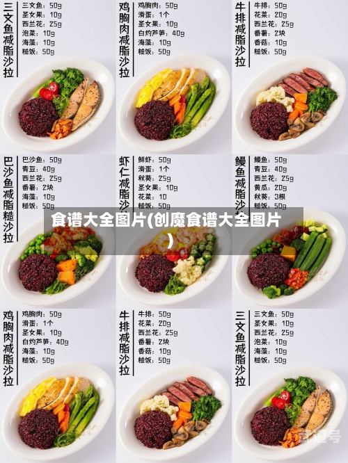 食谱大全图片(创魔食谱大全图片)