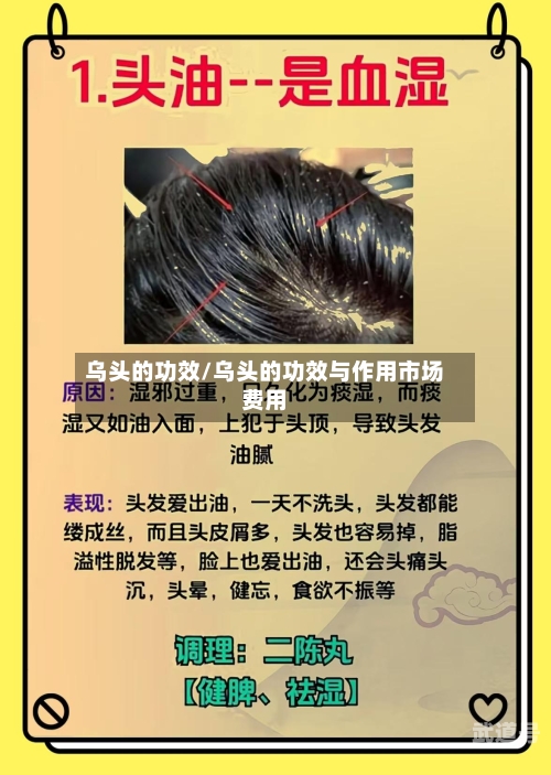 乌头的功效/乌头的功效与作用市场费用