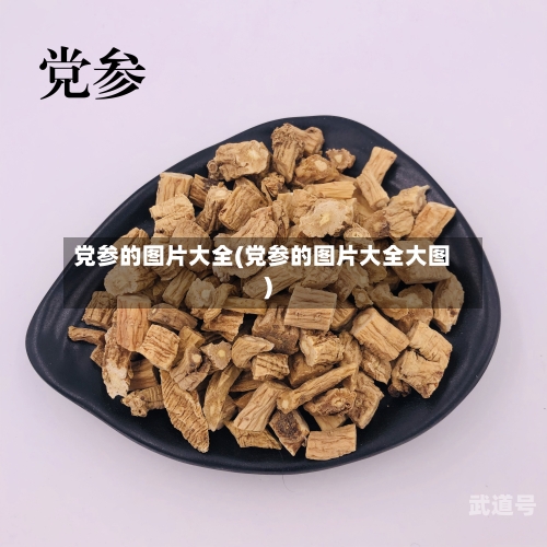 党参的图片大全(党参的图片大全大图)