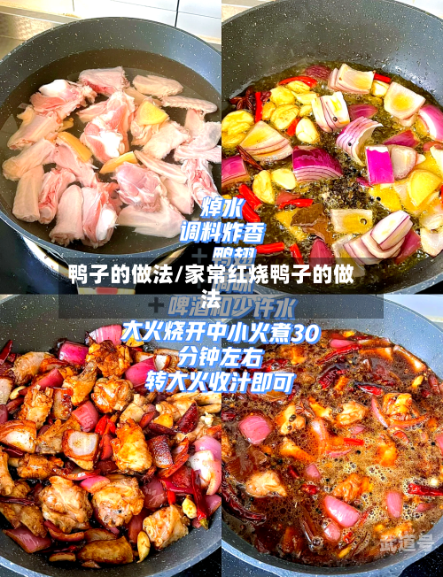 鸭子的做法/家常红烧鸭子的做法