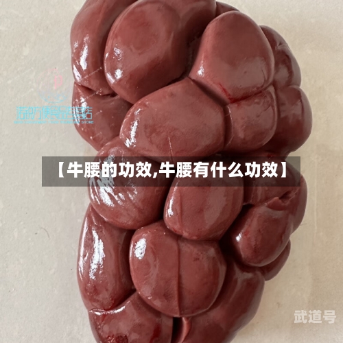 【牛腰的功效,牛腰有什么功效】