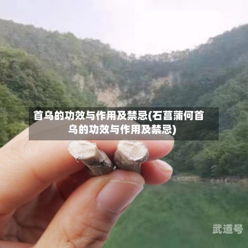 首乌的功效与作用及禁忌(石菖蒲何首乌的功效与作用及禁忌)
