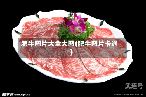 肥牛图片大全大图(肥牛图片卡通)