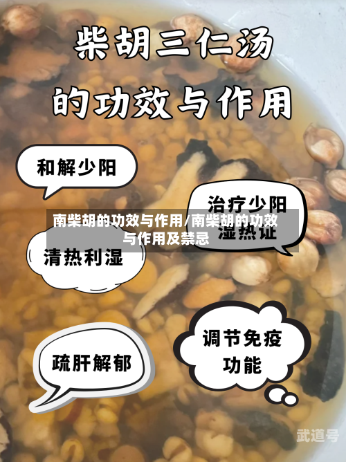 南柴胡的功效与作用/南柴胡的功效与作用及禁忌