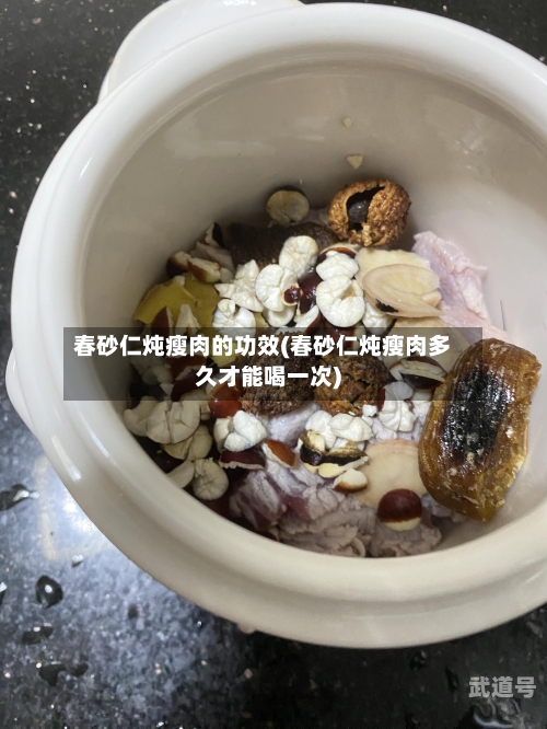 春砂仁炖瘦肉的功效(春砂仁炖瘦肉多久才能喝一次)