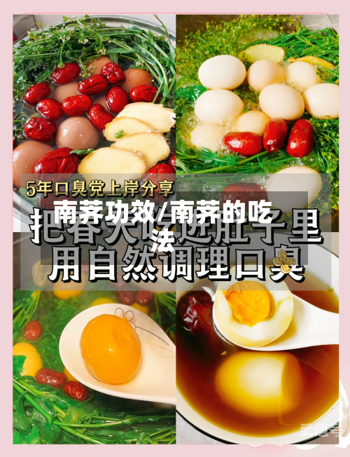 南荠功效/南荠的吃法