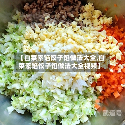 【白菜素馅饺子馅做法大全,白菜素馅饺子馅做法大全视频】