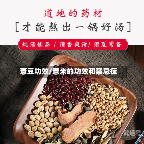 薏豆功效/薏米的功效和禁忌症