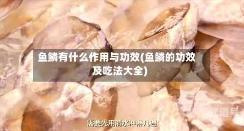 鱼鳞有什么作用与功效(鱼鳞的功效及吃法大全)