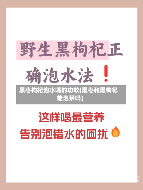 黑枣枸杞泡水喝的功效(黑枣和黑枸杞能泡茶吗)