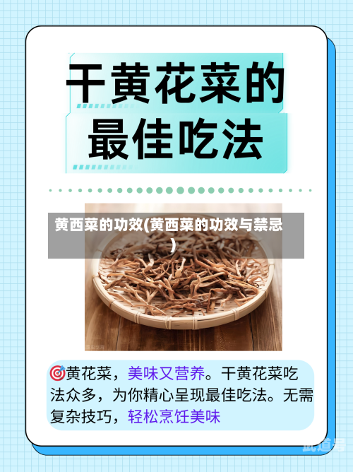 黄西菜的功效(黄西菜的功效与禁忌)