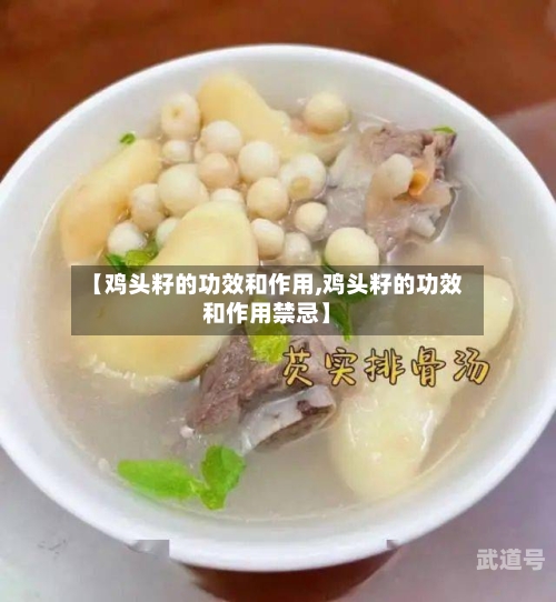 【鸡头籽的功效和作用,鸡头籽的功效和作用禁忌】