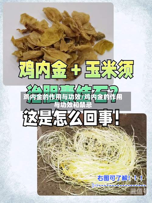 鸡内金的作用与功效/鸡内金的作用与功效和禁忌