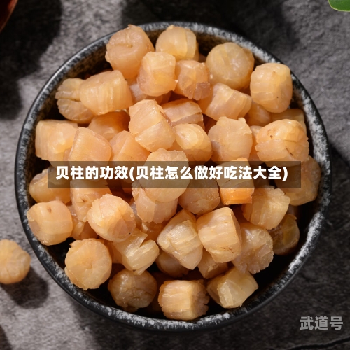 贝柱的功效(贝柱怎么做好吃法大全)