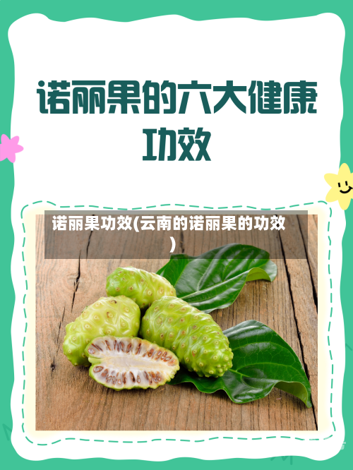 诺丽果功效(云南的诺丽果的功效)