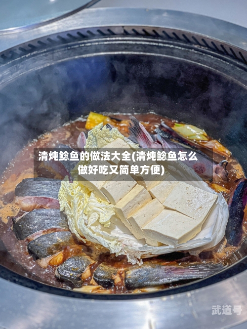 清炖鲶鱼的做法大全(清炖鲶鱼怎么做好吃又简单方便)