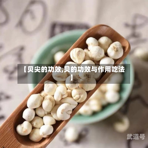 【贝尖的功效,贝的功效与作用吃法】