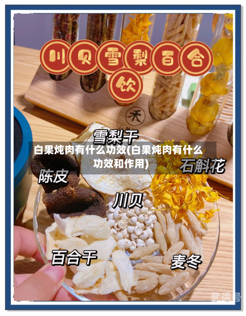 白果炖肉有什么功效(白果炖肉有什么功效和作用)