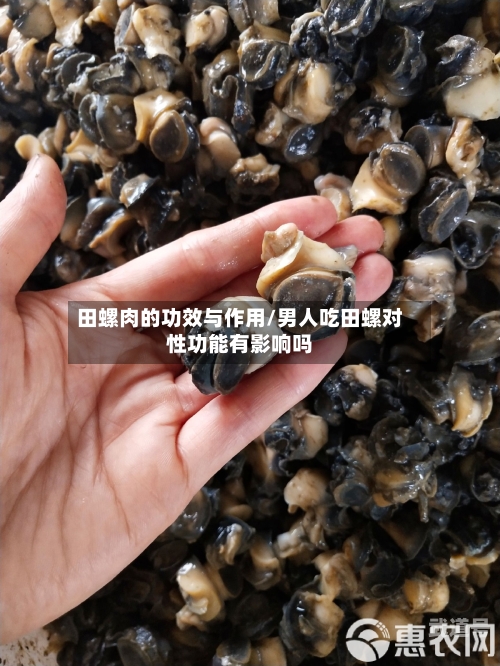 田螺肉的功效与作用/男人吃田螺对性功能有影响吗