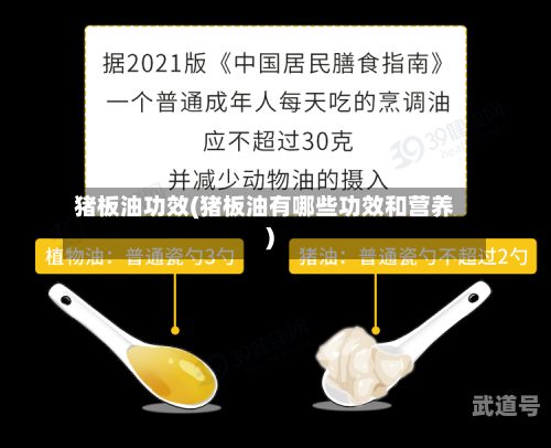 猪板油功效(猪板油有哪些功效和营养)