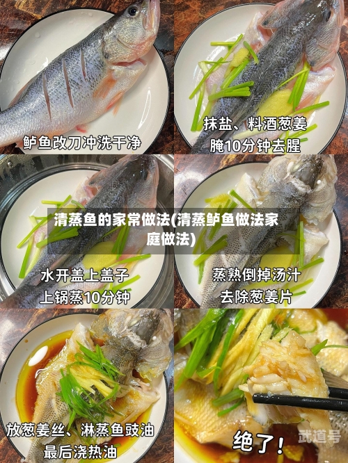 清蒸鱼的家常做法(清蒸鲈鱼做法家庭做法)