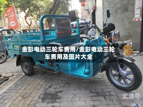 金彭电动三轮车费用/金彭电动三轮车费用及图片大全