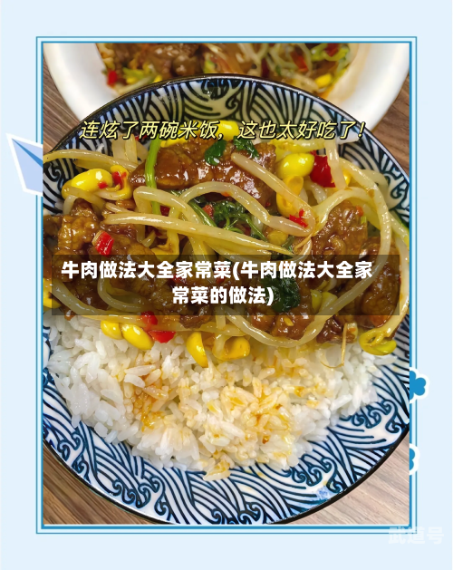 牛肉做法大全家常菜(牛肉做法大全家常菜的做法)