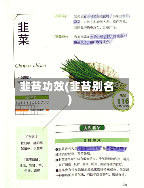 韭苔功效(韭苔别名)