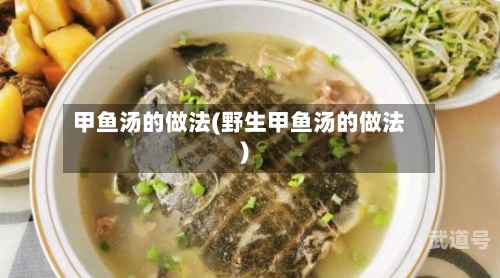 甲鱼汤的做法(野生甲鱼汤的做法)