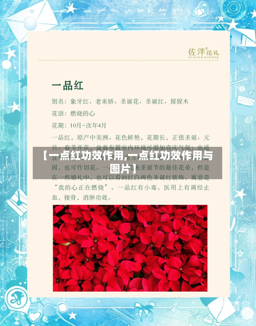 【一点红功效作用,一点红功效作用与图片】