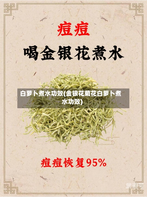 白萝卜煮水功效(金银花菊花白萝卜煮水功效)