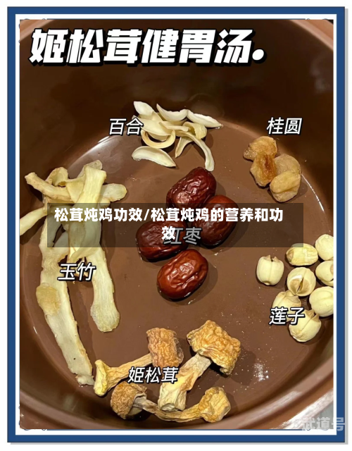松茸炖鸡功效/松茸炖鸡的营养和功效