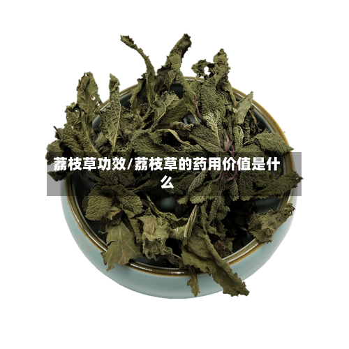 荔枝草功效/荔枝草的药用价值是什么