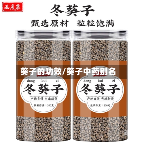 葵子的功效/葵子中药别名