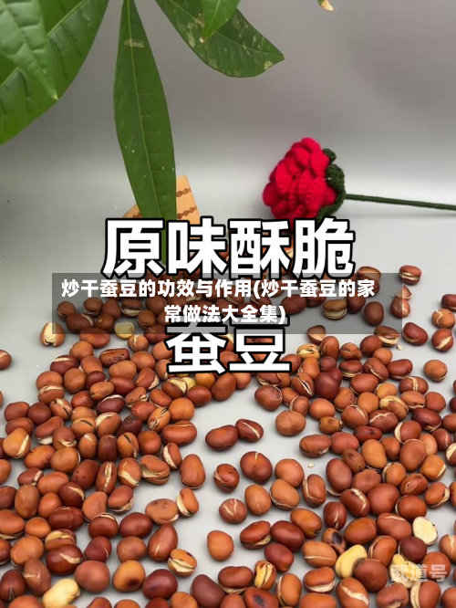 炒干蚕豆的功效与作用(炒干蚕豆的家常做法大全集)