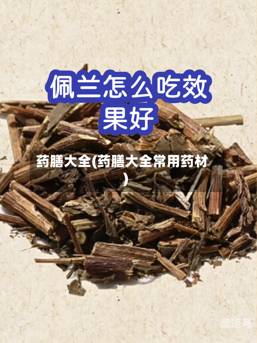 药膳大全(药膳大全常用药材)