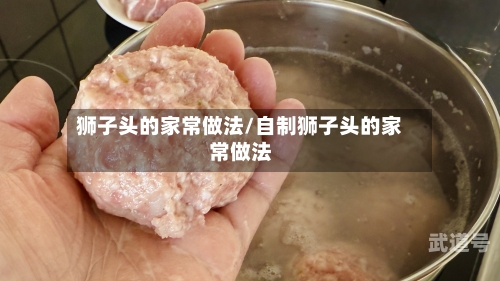 狮子头的家常做法/自制狮子头的家常做法