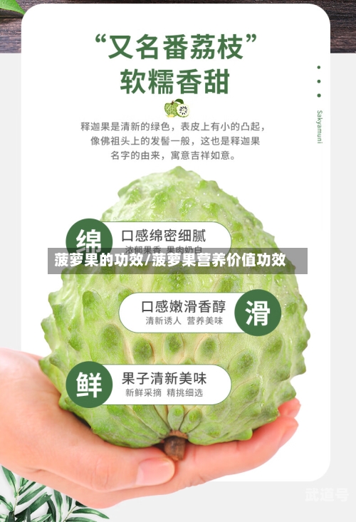 菠萝果的功效/菠萝果营养价值功效