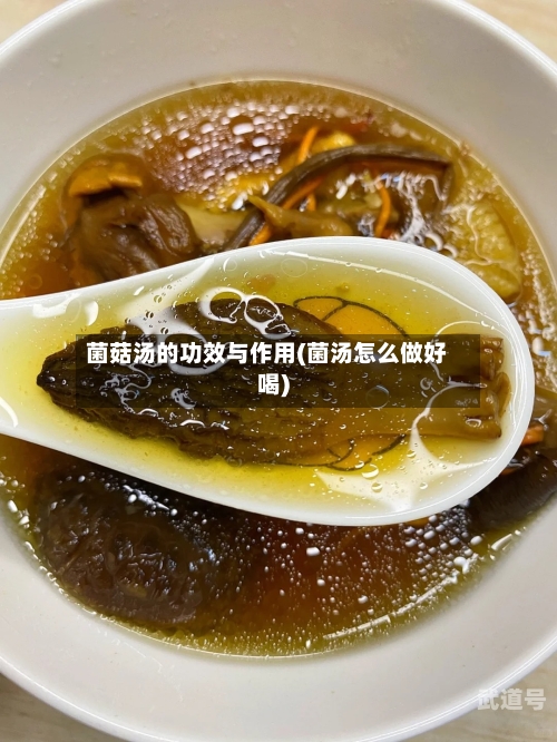 菌菇汤的功效与作用(菌汤怎么做好喝)
