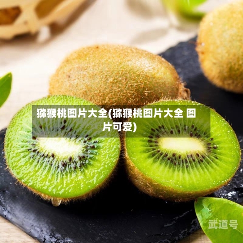 猕猴桃图片大全(猕猴桃图片大全 图片可爱)