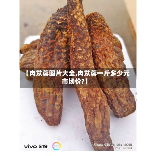 【肉苁蓉图片大全,肉苁蓉一斤多少元市场价?】