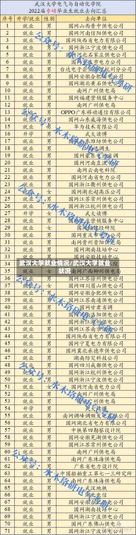 武汉大学就业情况/武汉大学就业状况